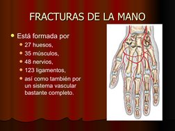 FRACTURAS DE LA MANO
FRACTURAS DE LA MANO
Está formada por 
27 huesos, 
35 músculos, 
48 nervios, 
123 ligamentos, 
así