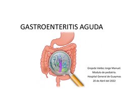GASTROENTERITIS AGUDA
Grajeda Valdez Jorge Manuel.
Modulo de pediatría.
Hospital General de Guaymas
20 de Abril del 2022

