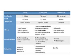VIRUS
BACTERIAS
PARÁSITOS
Incubación
Edad  
Temporada
1-3 días
Variable
1-2 semanas
<2 años
<2 años
Brotes
Otoño, invierno
Ve