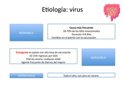 Etiología: virus
ROTAVIRUS
Causa más frecuente
50-70% de las GEA nosocomiales 
 Duración 4-8 días.
Cambios en el patrón con l