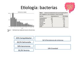 Etiología: bacterias
32% Campylobacter
34,5% Salmonella
50% Aeromonas
33,3% Yersinia
56 % Persistencia de síntomas
18% Graved