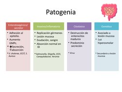 Patogenia
Enterotoxigénico/ 
 secretor
• Adhesión al 
 epitelio.
• Aumento 
GMPc.
• Secreción,
absorción
•V. cholerae, ECET