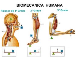    BIOMECANICA  HUMANA
Palanca de 1° Grado
2° Grado
3° Grado
