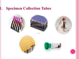 Specimen Collection Tube Form.pdf Specimen Collection Techniques Overview | PDF | Medical Specialties ...