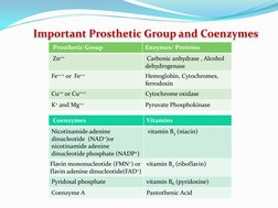 Prosthetic Group
Enzymes/ Proteins 
Zn++
Carbonic anhydrase , Alcohol 
dehydrogenase
Fe+++ or  Fe++
Hemoglobin, Cytochromes,