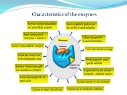 Characteristics of the enzymes 
