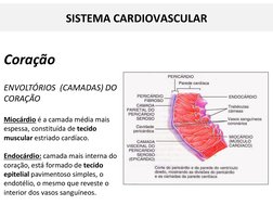 Coração
ENVOLTÓRIOS  (CAMADAS) DO 
CORAÇÃO
Miocárdio é a camada média mais 
espessa, constituída de tecido 
muscular estriado