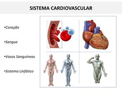 •Coração 
•Sangue
•Vasos Sanguíneos
•Sistema Linfático
•0
SISTEMA CARDIOVASCULAR
