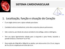 SISTEMA CARDIOVASCULAR
1. Localização, função e situação do Coração
•
É um órgão cônico com a ápice voltada para baixo.
•
Cav