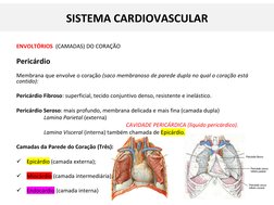ENVOLTÓRIOS (CAMADAS) DO CORAÇÃO
Pericárdio 
Membrana que envolve o coração (saco membranoso de parede dupla no qual o coraçã
