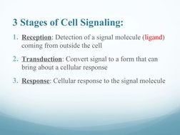 Principles of Cell Communication | PDF | Cell Signaling | Signal ...