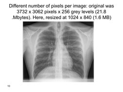 10
Different number of pixels per image: original was 
3732 x 3062 pixels x 256 grey levels (21.8 
Mbytes). Here, resized at