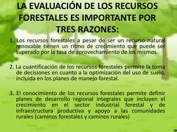 LA EVALUACIÓN DE LOS RECURSOS 
FORESTALES ES IMPORTANTE POR 
TRES RAZONES: 
1. Los recursos forestales a pesar de ser un recu