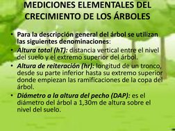 MEDICIONES ELEMENTALES DEL 
CRECIMIENTO DE LOS ÁRBOLES 
 
• Para la descripción general del árbol se utilizan 
las siguientes