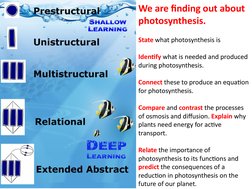 We are finding out about 
photosynthesis. 
State what photosynthesis is
Identify what is needed and produced 
during photosyn