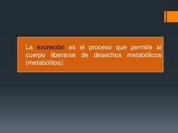 La excreción es el proceso que permite al
cuerpo
liberarse
de
desechos
metabólicos
(metabolitos).
