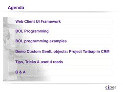 Agenda 
Web Client UI Framework 
BOL Programming 
BOL programming examples  
Demo Custom GenIL objects: Project Twibap in CRM