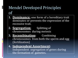 Mendelian Genetics Overview | PDF | Dominance (Genetics) | Genotype