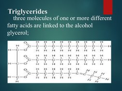 Overview of Lipids and Their Functions | PDF