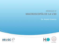 DR. ANDRÉS ZORNOZA
MODULO IV
MACROSCOPÍA DE LA V30
