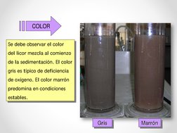 COLOR
Se debe observar el color
del licor mezcla al comienzo
de la sedimentación. El color
gris es típico de deficiencia
de o