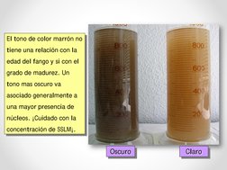 El tono de color marrón no
tiene una relación con la
edad del fango y si con el
grado de madurez. Un
tono mas oscuro va
asoci