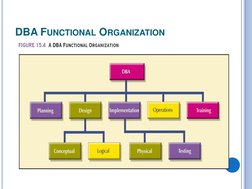 DBA FUNCTIONAL ORGANIZATION
