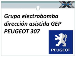 Grupo electrobomba 
dirección asistida GEP  
PEUGEOT 307  
