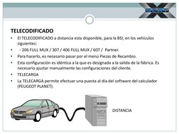 TELECODIFICADO 
•
El TELECODIFICADO a distancia esta disponible, para la BSI, en los vehículos 
siguientes:  
•
  - 206 FULL