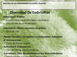 BIOLOGÍA DE LOS ORGANISMOS CELULARES Y PLANTAS
Diversidad De Embriofitas 
Subunidad A: Briófitas
•
Características morfo-fisi