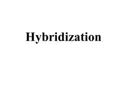 Hybridization
