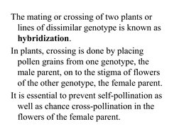 The mating or crossing of two plants or 
lines of dissimilar genotype is known as 
hybridization.
In plants, crossing is done