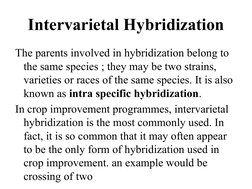 Intervarietal Hybridization
The parents involved in hybridization belong to 
the same species ; they may be two strains, 
var