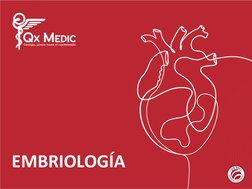 EMBRIOLOGÍA
