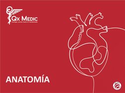 ANATOMÍA
