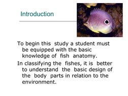 Fish Morphology and Body Classification | PDF | Fish | Aquatic Organisms