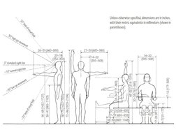 Anthropometry and Ergonomics in Design | PDF | Anthropometry | Human ...