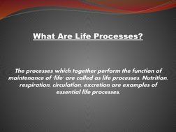 Life Processes Project Art Integrated Project on Life Processes | PDF | Nutrition | Diet ...
