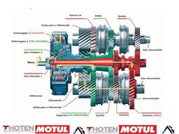 Instrutor: Thiago Dotta
