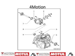 Instrutor: Thiago Dotta
4Motion
