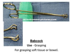 Babcock 
Use - Grasping 
For grasping soft tissue or bowel.  
