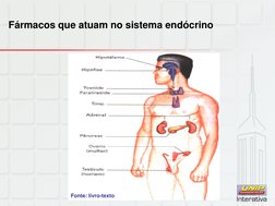 Fármacos que atuam no sistema endócrino 
Fonte: livro-texto 
