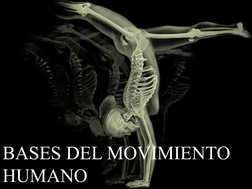 BASES DEL MOVIMIENTO 
HUMANO
