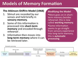 Understanding Memory in Psychology | PDF | Memory | Recall (Memory)