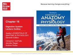 Because learning changes everything.
®
Chapter 16
Digestive System 
Lecture Outline
Seeley’s ESSENTIALS OF 
ANATOMY & PHYSIOL