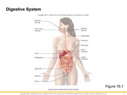 Copyright 2022 © McGraw Hill LLC. All rights reserved. No reproduction or distribution without the prior written consent of M