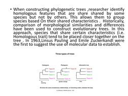 • When constructing phylogenetic trees ,researcher identify
homologous features that are share shared by some
species but not