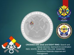 BFP Logo and Insignia Specifications | PDF