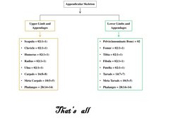 Appendicular Skeleton  
Upper Limb and 
Appendages 
Lower Limbs and 
Appendages 
• Scapula = 02(1+1) 
• Clavicle = 02(1+1) 
•