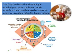 En la franja azul están los alimentos que 
necesitas para crecer, comiendo 1 ración 
pequeña en cada comida te ayuda a crecer